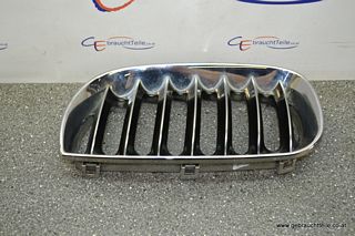 BMW X3 E83 04-10 Grille Grill grille left