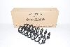 VW Golf 7 AU FL 17- Feder Hinten Links u. Rechts Original Gewichtsbereich 3 Basis 1 Original NEU