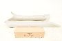 Audi A5 8T 07-12 Cover A pillar left + right in the SET moon silver TB9 ORIGINAL